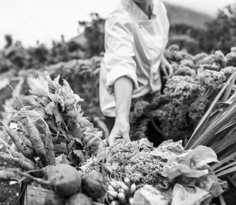 Les métiers du vivant : changer de regard, mieux les connaître 